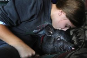 pig therapy